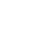 xpel-dealer-of-the-year-icon 2024 XPEL Paint Protection Film Dealer of the Year Massachusetts